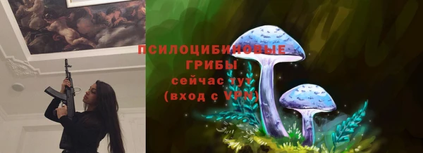 Альфа ПВП Волосово